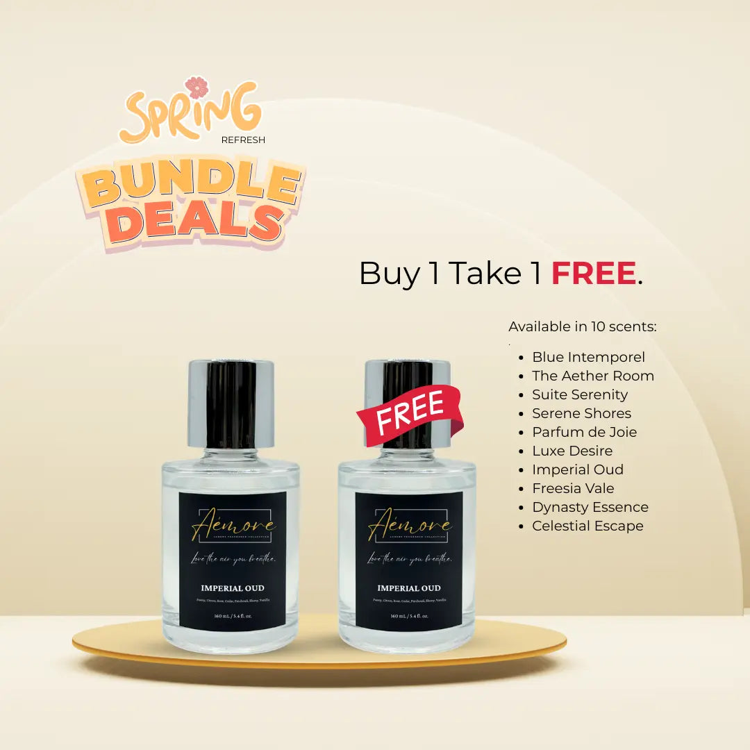 Bundle Deals - BUY 1 TAKE 1 | 160 mL Car and Home Ultrasonic Diffuser